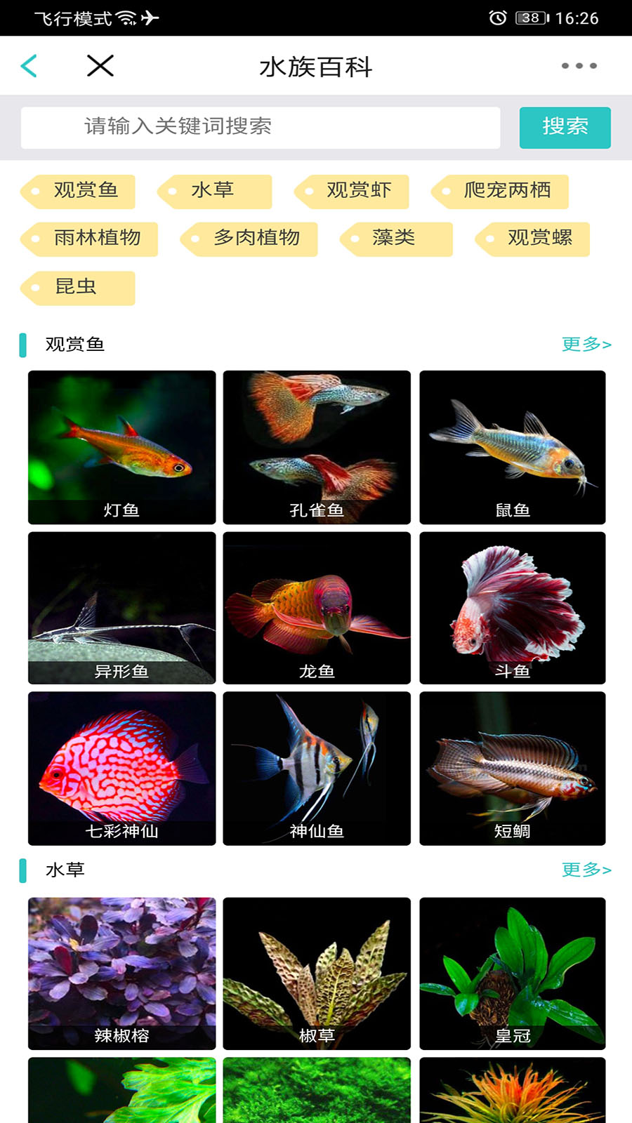 泡泡水族app