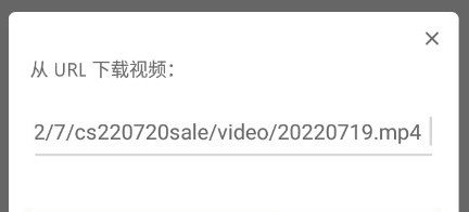 realplayer从URL下载视频