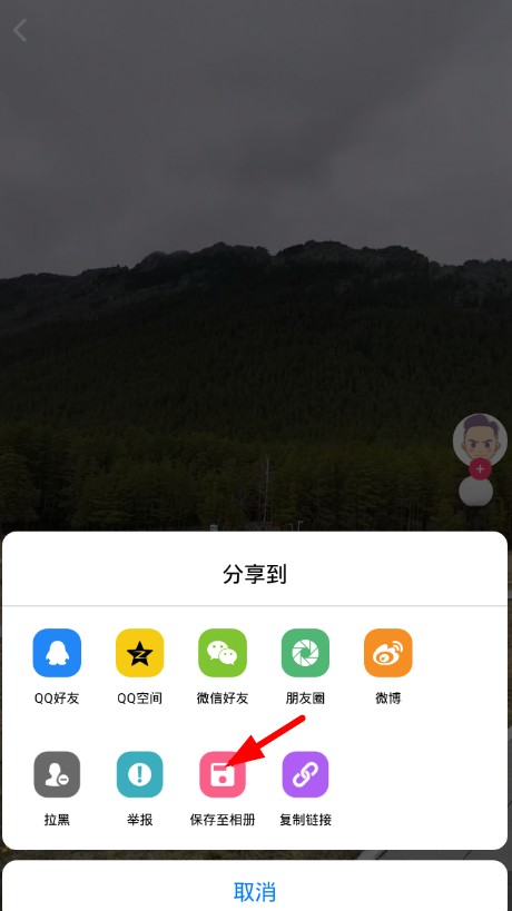 蘑菇视频免费版