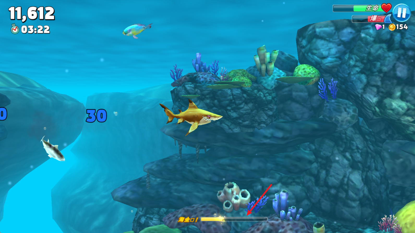 饥饿鲨世界国际服正版