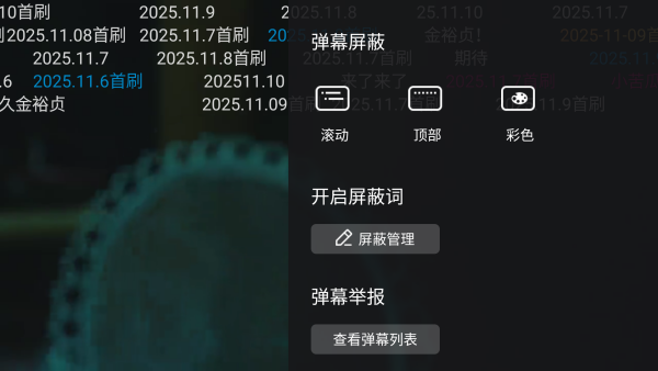 弹幕怎么设置大小截图2