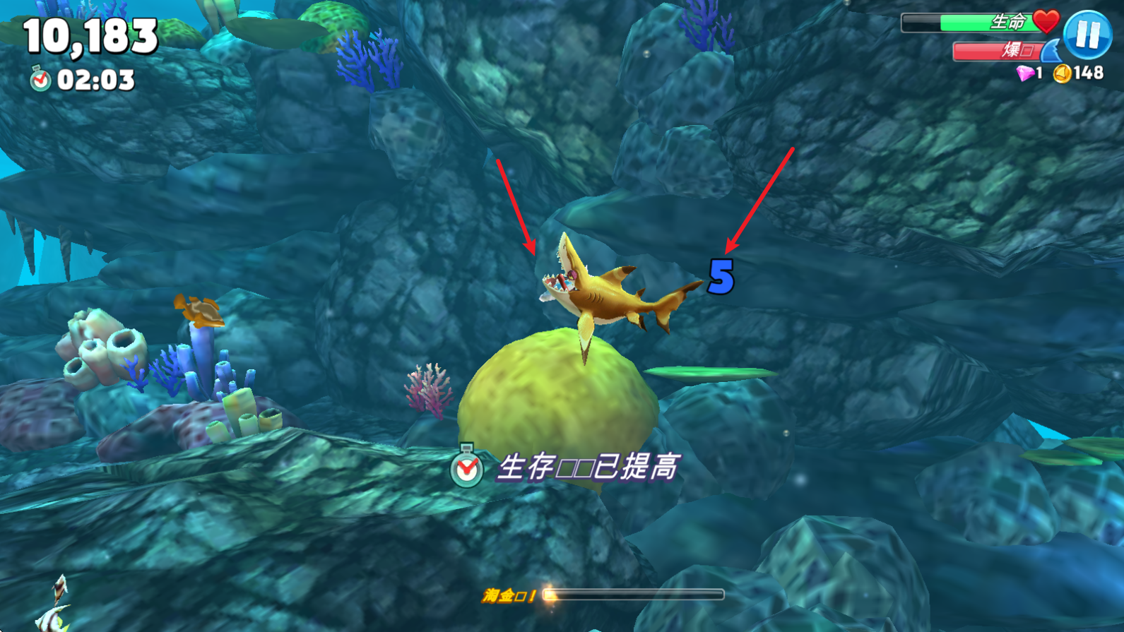 饥饿鲨世界国际服正版