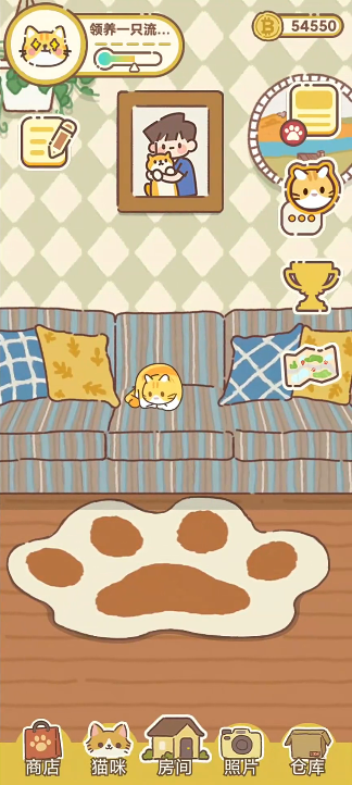 领养一只流浪猫