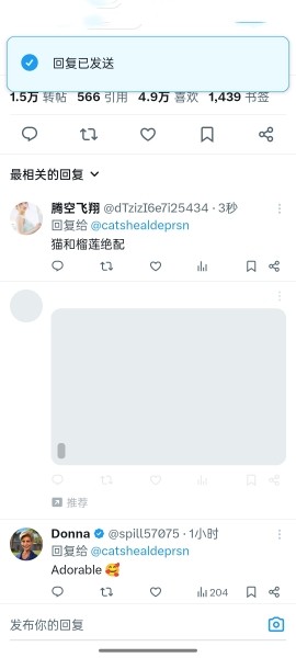 Twitter正版2025