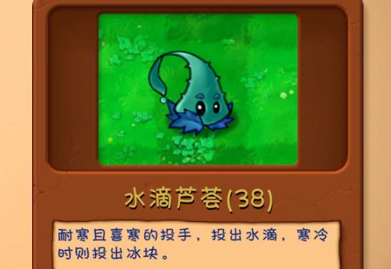 植物大战僵尸融合版雪原版本