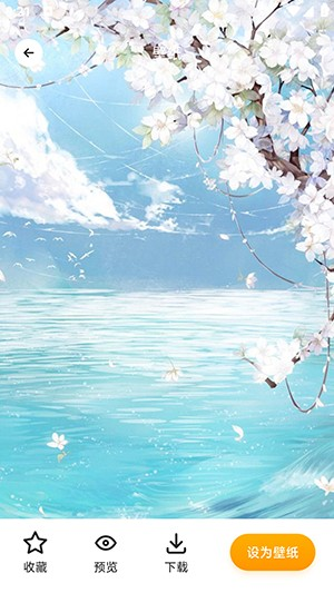 TrAni壁纸中文版