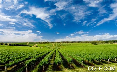 事农农机助手app安卓版