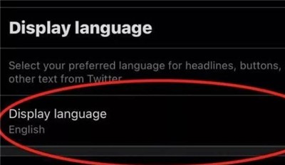 Twitter推特mod版下载-X推特mod版2024新版安装v10.25.1