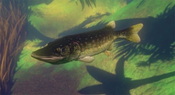 海底大猎杀正版