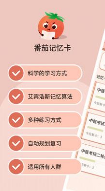 番茄记忆卡