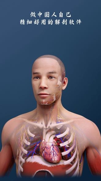 解剖大师app安卓版 解剖大师app安卓版