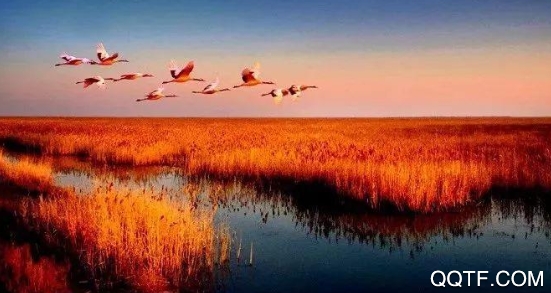 盐城123网大话盐城