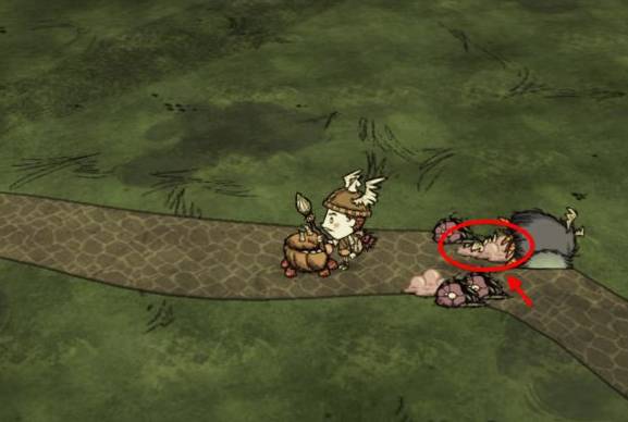 饥荒手机联机版