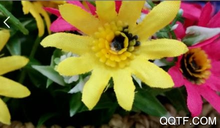 形色免费版 形色免费版