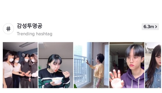 tiktok免拔卡版2025 tiktok免拔卡版2025