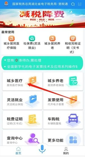 湖北税务社保缴费app官方版(楚税通)