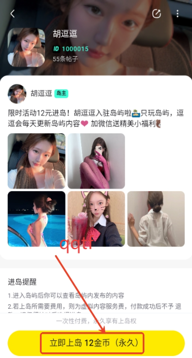 趣岛交友app最新版 趣岛交友app最新版