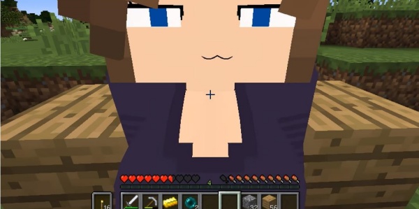 珍妮模组完整版