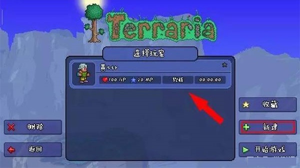 泰拉瑞亚全物品存档版