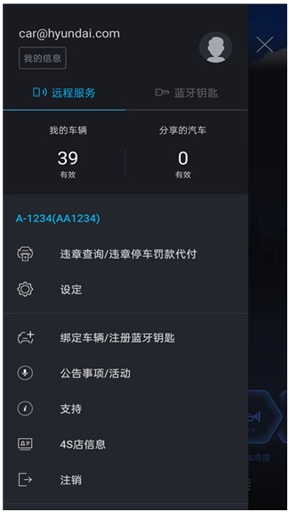 blueLink远程启动app官方版 blueLink远程启动app官方版