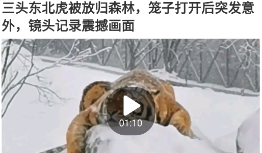 趣头条自媒体平台 趣头条自媒体平台