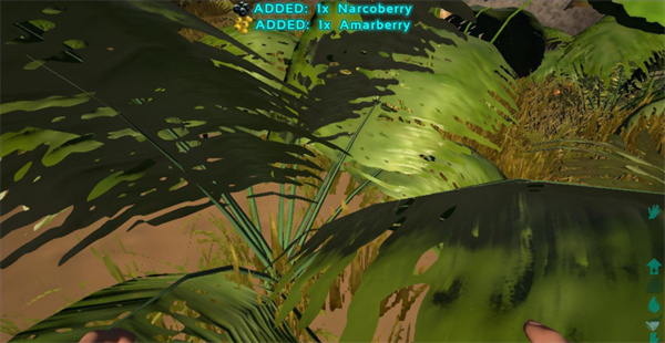 方舟生存进化上帝版