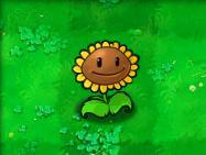 植物大战僵尸95版