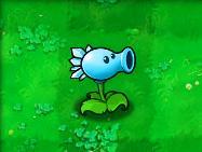 植物大战僵尸95版