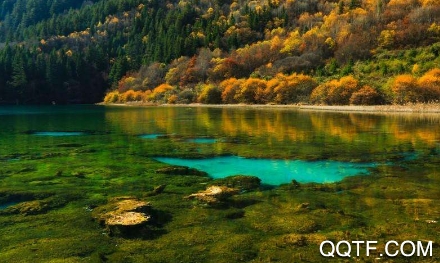 四川观察手机客户端(电视直播) 四川观察手机客户端(电视直播)