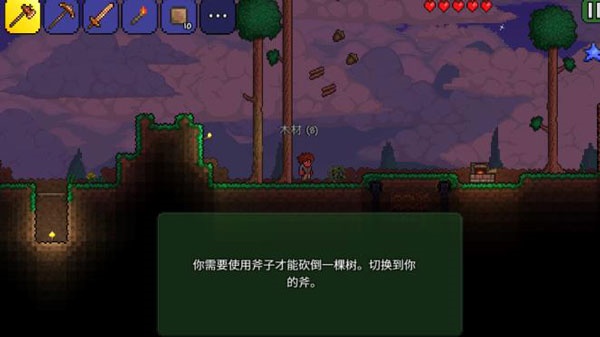 泰拉瑞亚全物品存档版