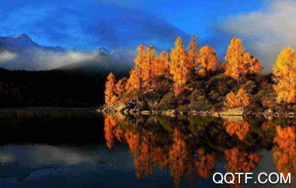 四川观察手机客户端(电视直播) 四川观察手机客户端(电视直播)