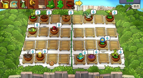 植物大战僵尸杂交版