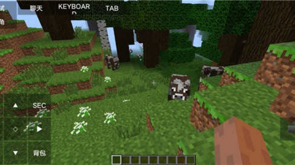 我的世界java版手机版