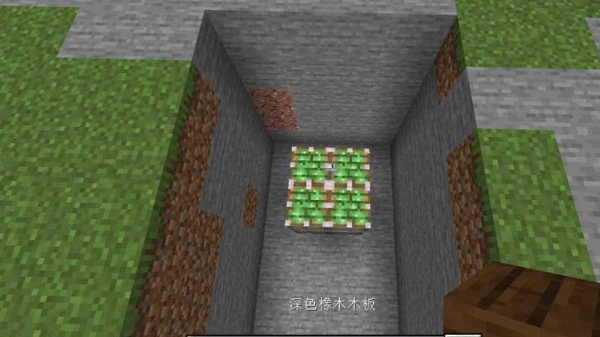 我的世界单机版