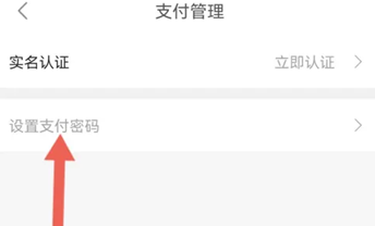怎么设置支付密码截图3