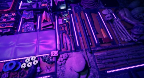 森林之子联机版