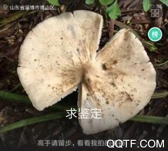 形色免费版 形色免费版