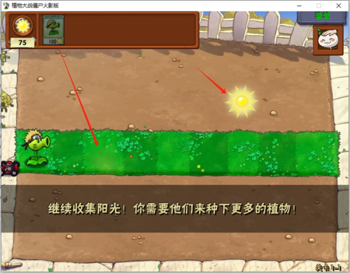 植物大战僵尸火影版