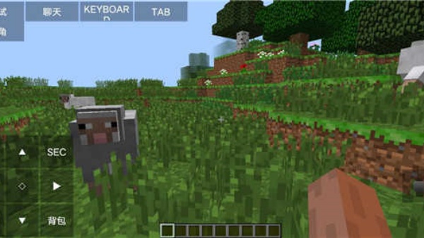 我的世界java版手机版