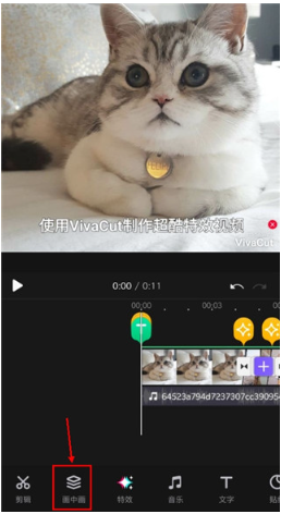 VivaCut app最新版 VivaCut app最新版
