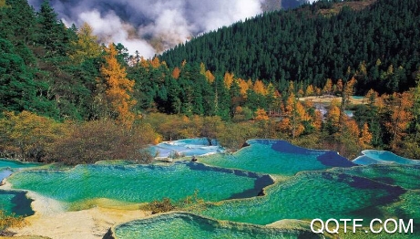 四川观察手机客户端(电视直播) 四川观察手机客户端(电视直播)