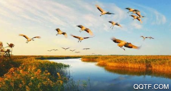 盐城123网大话盐城