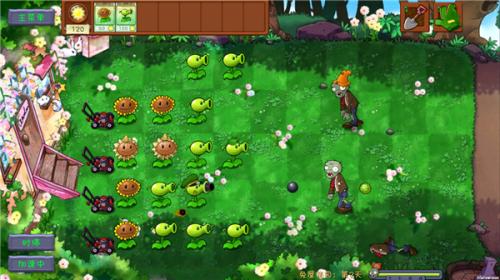 植物大战僵尸共生版