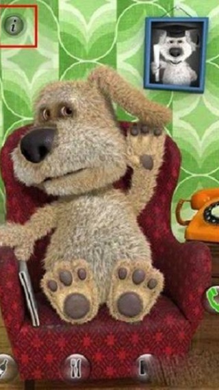 会说话的狗狗本