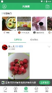 泗洪风情网人才招聘app安卓版