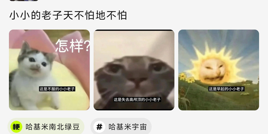 哈基米AI最新版本 哈基米AI最新版本