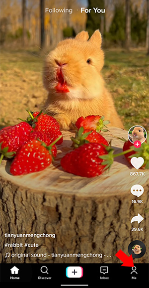 tiktok色板轻量版