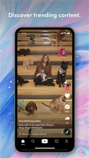 tiktok色板轻量版