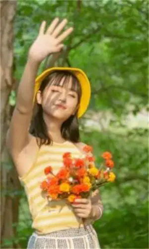 凤蝶直播免费版