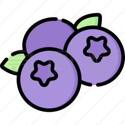 蓝莓音乐APP官方版最新版v2.0